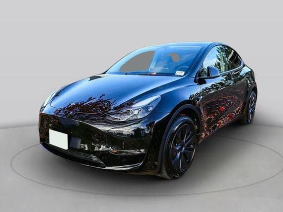 TESLA MODEL Y 2025 7SAYGDEF5SF253454 image